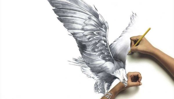 花季传媒网站的特性以及安装技巧