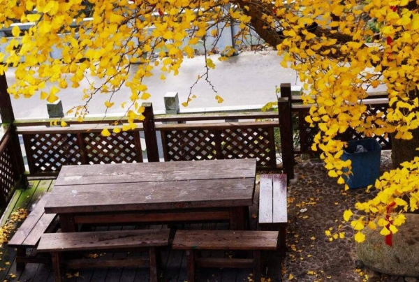 郑州花季传媒网站如何辨别花季传媒网站的真假？