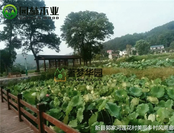 湖北花季传媒网站风雨廊